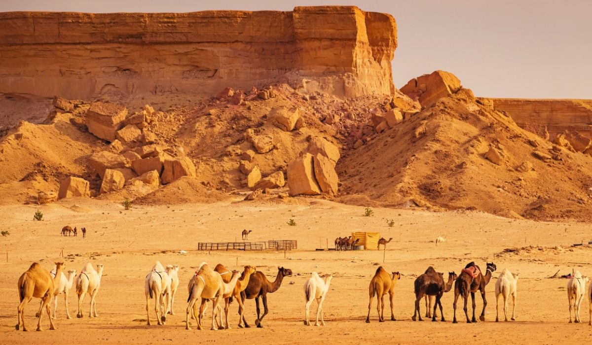 The Driest Countries in the World